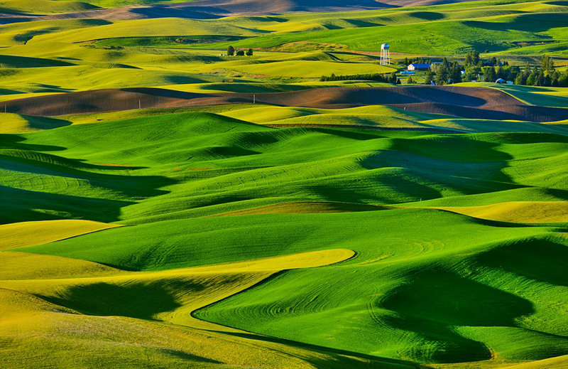 ???? ???? ?? ??, ?? ? ??