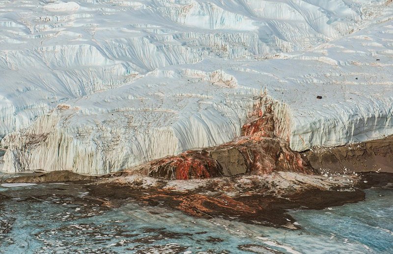 ???? ???? ?? ??, ?? ? ??