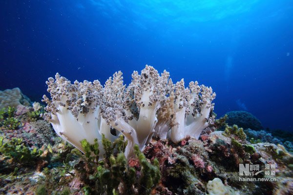 ??? ???! ??? ?? ?? ?? ???? ???