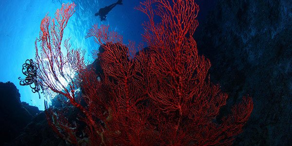 ??? ???! ??? ?? ?? ?? ???? ???