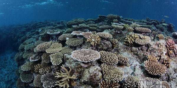 ??? ???! ??? ?? ?? ?? ???? ???