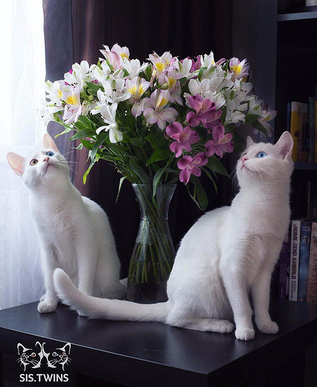 ‘????’! ? ? ?? ?? ??? ??? ??