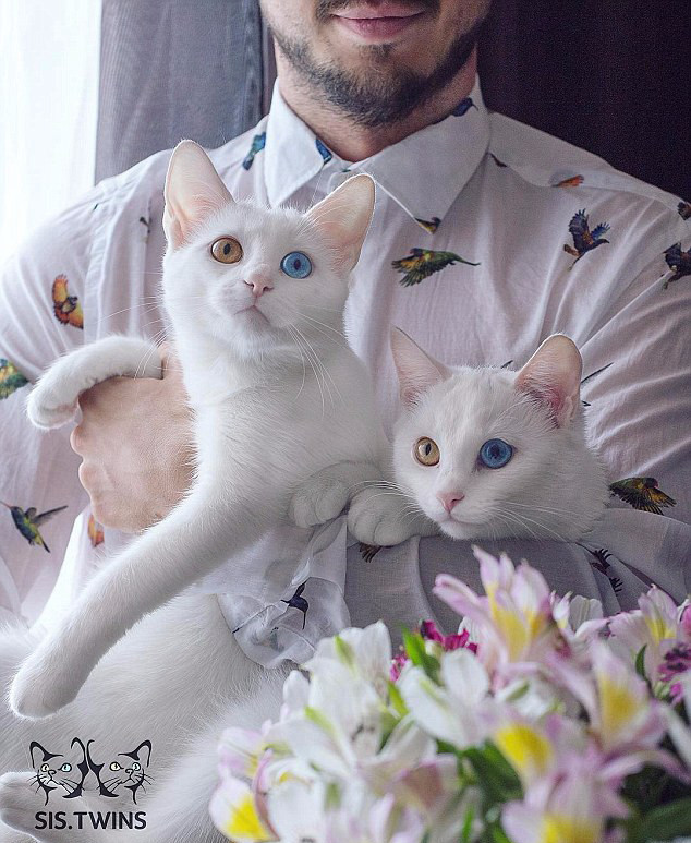 ‘????’! ? ? ?? ?? ??? ??? ??