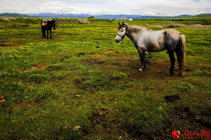 ??? ?? ???? ???? ??, ?? ??!