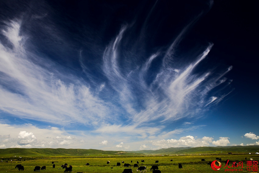 ??? ?? ???? ???? ??, ?? ??!