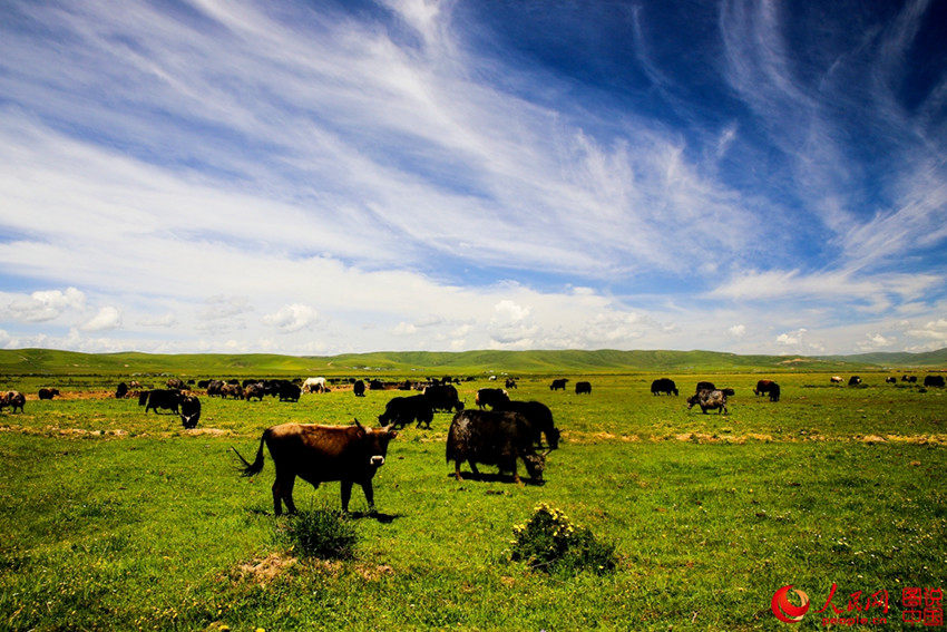 ??? ?? ???? ???? ??, ?? ??!