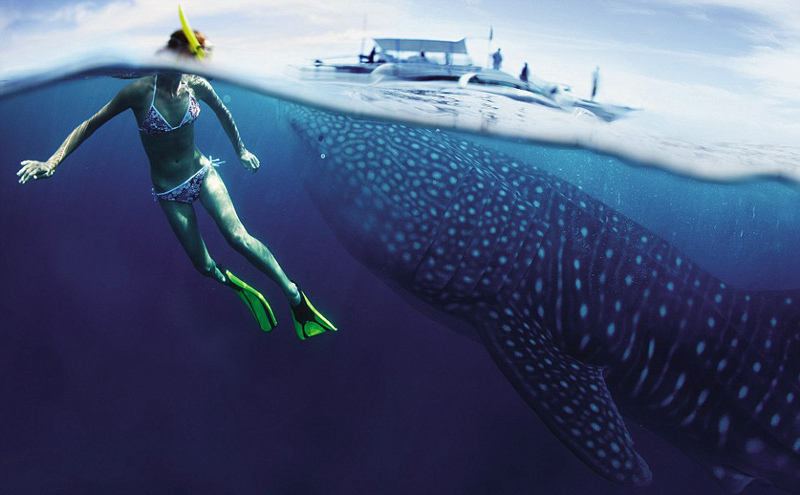 ???? ??? ???? ???? ???? ??