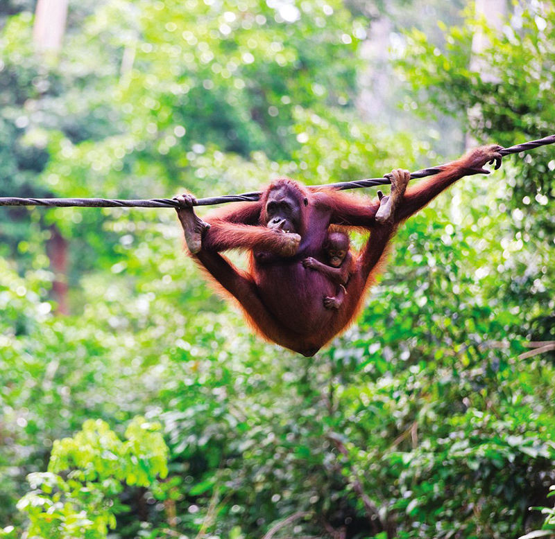 ???? ??? ???? ???? ???? ??