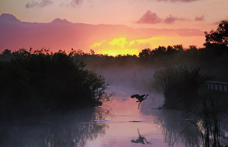 ???? ??? ???? ???? ???? ??