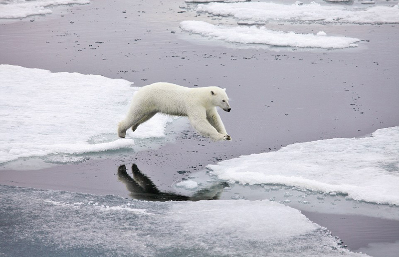 ???? ??? ???? ???? ???? ??