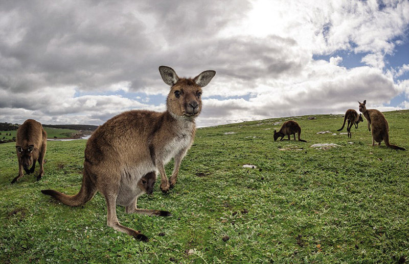 ???? ??? ???? ???? ???? ??