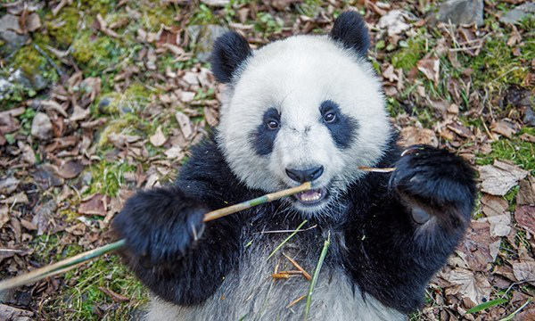 ?? ?? ?? ?? ‘?? ?’ ?? ???