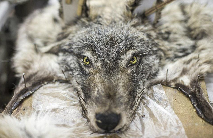 ???? ???? ?? ??, ?? ?? 400??