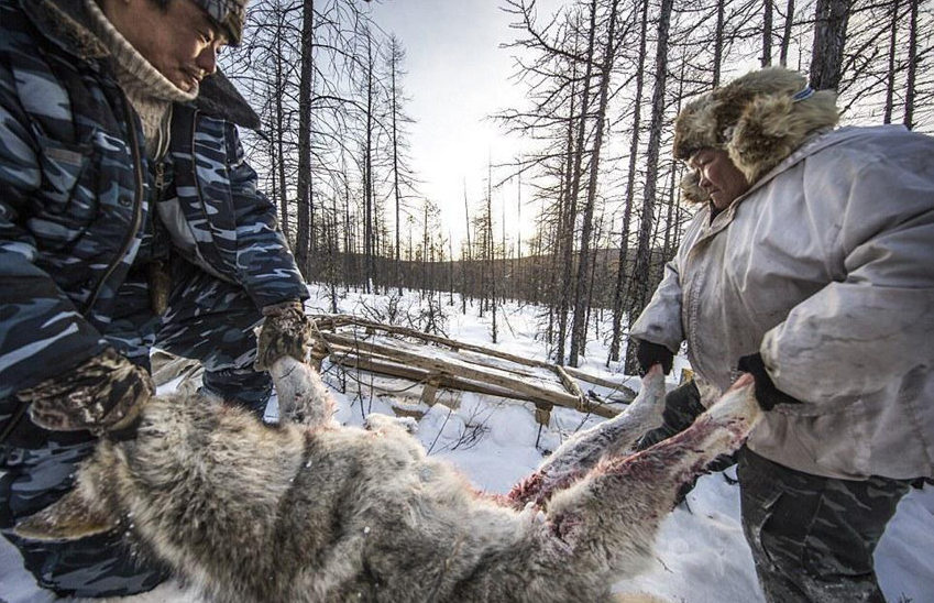 ???? ???? ?? ??, ?? ?? 400??