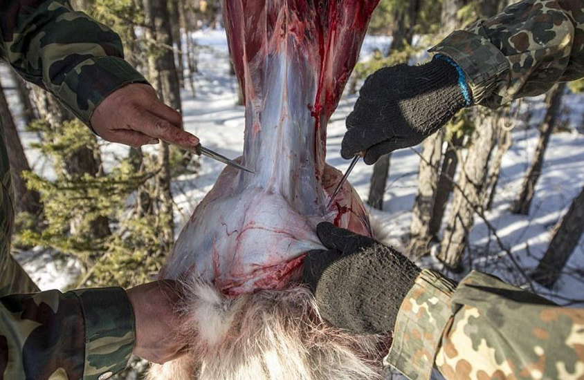 ???? ???? ?? ??, ?? ?? 400??