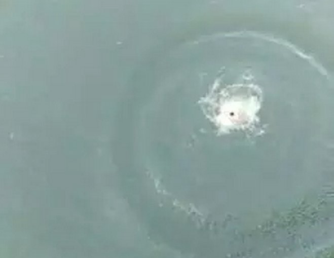 ??? ?? ??? 17? ?? ??, ???