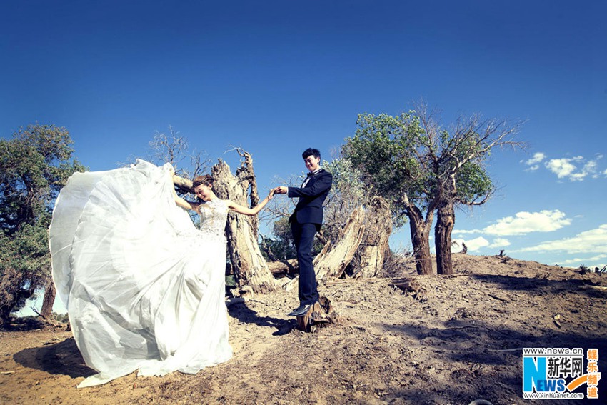 ??? ????, ?? ?? ???? ??