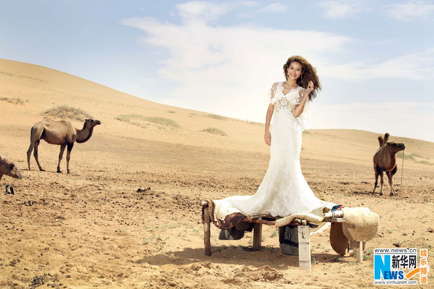 ??? ????, ?? ?? ???? ??