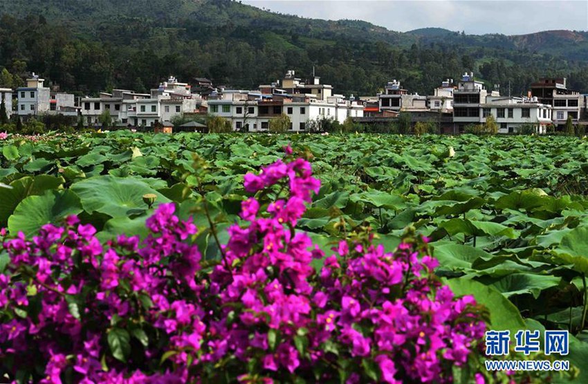 ?? ??? ????, ?? ???? ??