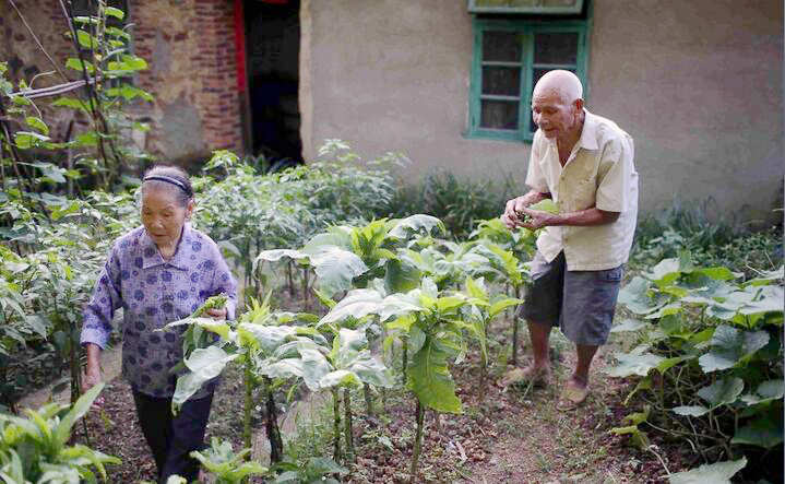 ??? ?? 96?, ?? 100? ???