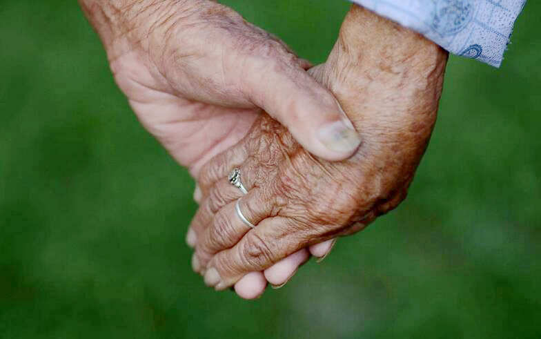 ??? ?? 96?, ?? 100? ???