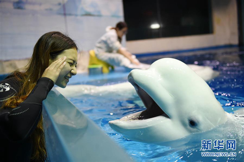 ??? ?? ???, ?? ???? ????