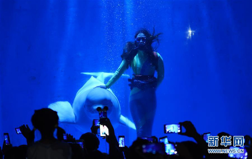 ??? ?? ???, ?? ???? ????