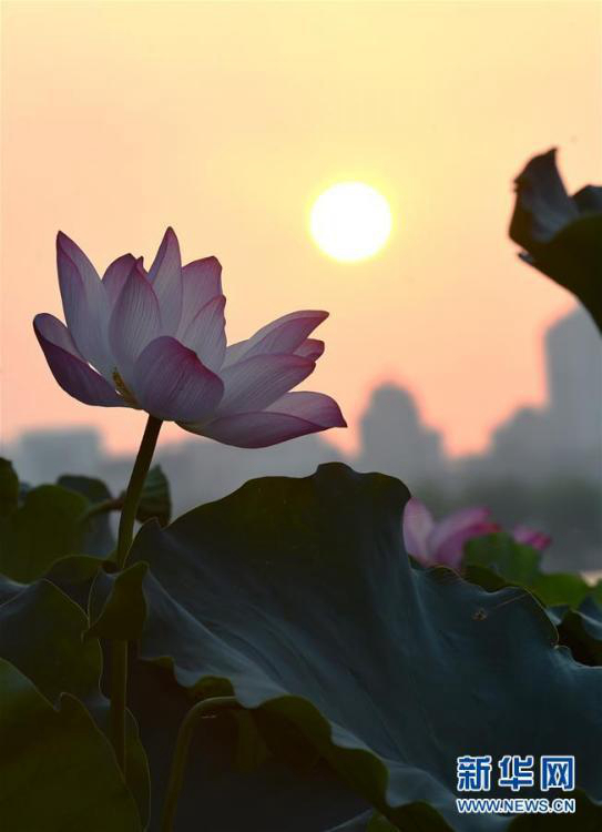 ??? ??? ???? ??? ?? ??