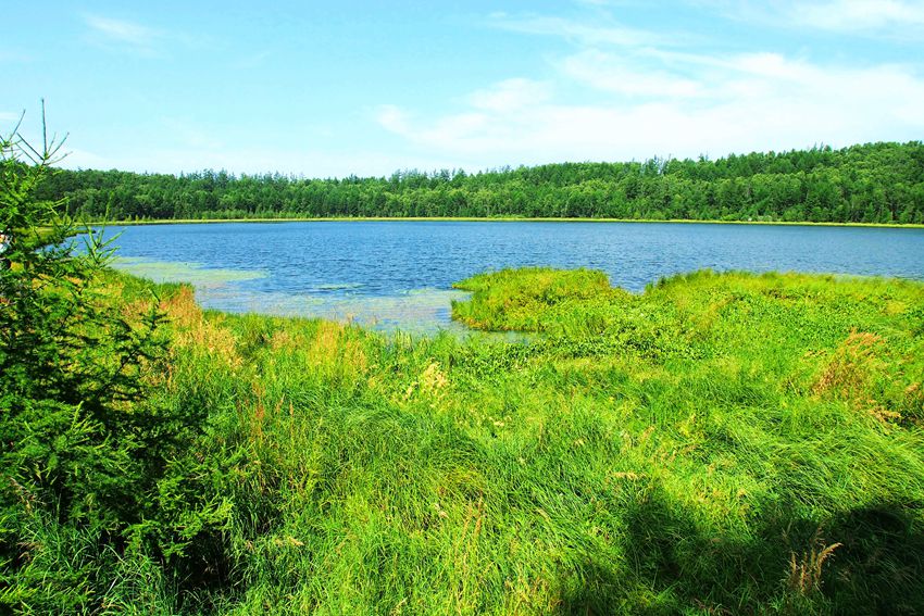 ???, ???? ????? ???? ???!