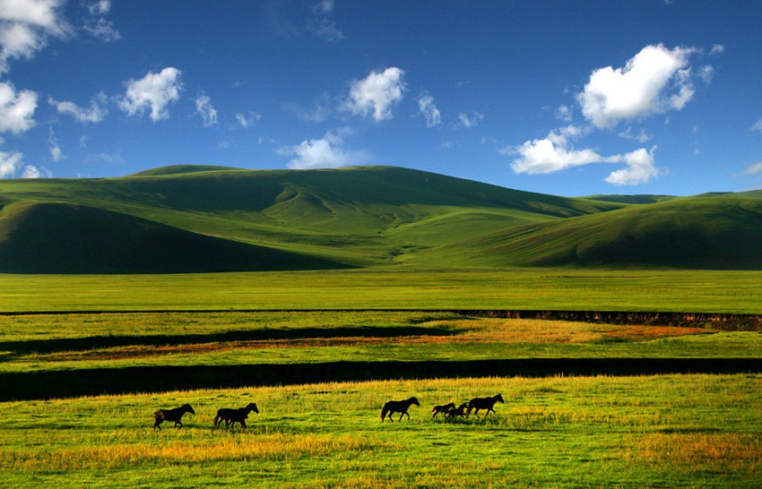 ???, ???? ????? ???? ???!