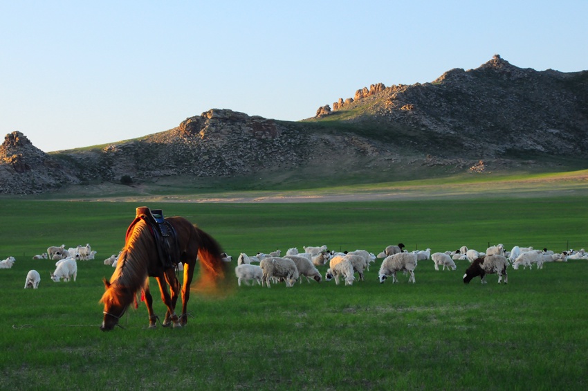 ???, ???? ????? ???? ???!