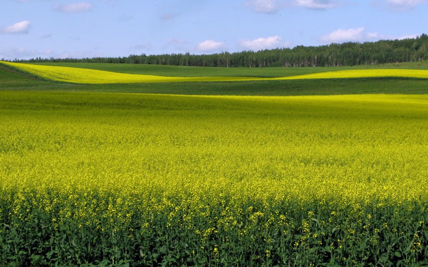 ???, ???? ????? ???? ???!