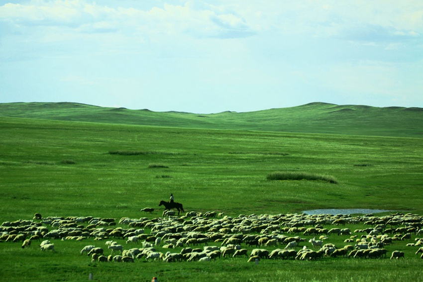 ???, ???? ????? ???? ???!