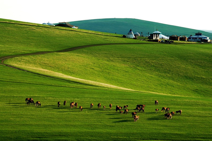 ???, ???? ????? ???? ???!