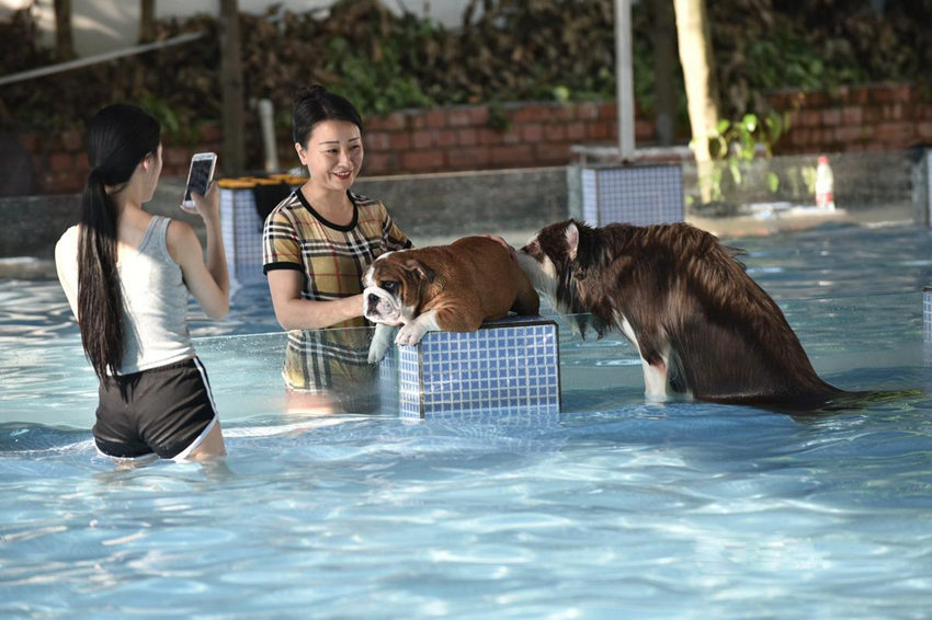 ??? ???? ??? ??, ?? ???