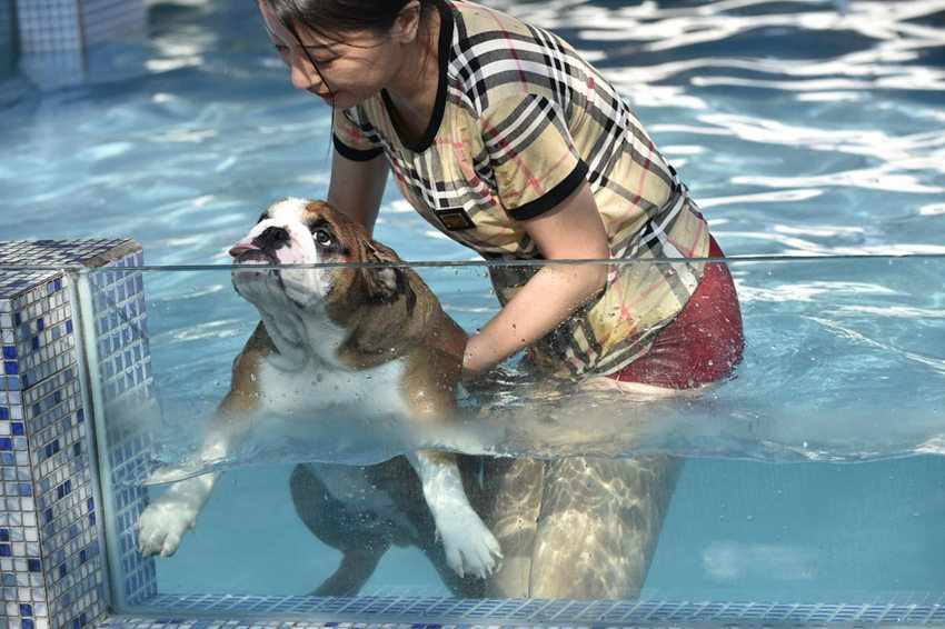 ??? ???? ??? ??, ?? ???