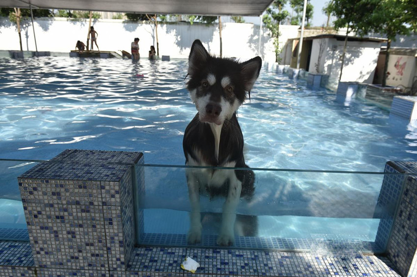 ??? ???? ??? ??, ?? ???