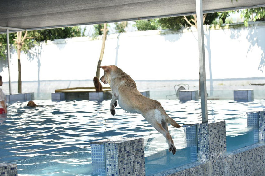 ??? ???? ??? ??, ?? ???