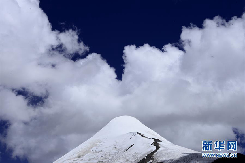 [???? ?? ??] ??? ? ?? ??? ???