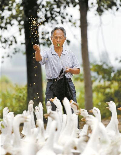 71? ?? ????, ?? ??? ??? ??