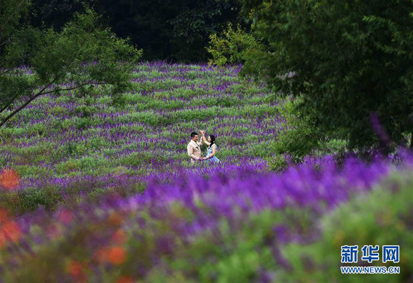 ?? ?? ????, ???? ??? ??