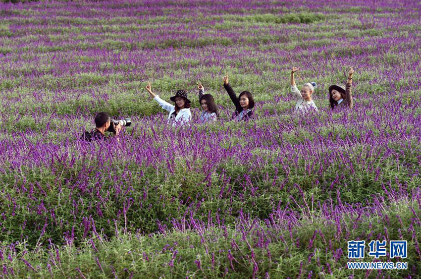 ?? ?? ????, ???? ??? ??