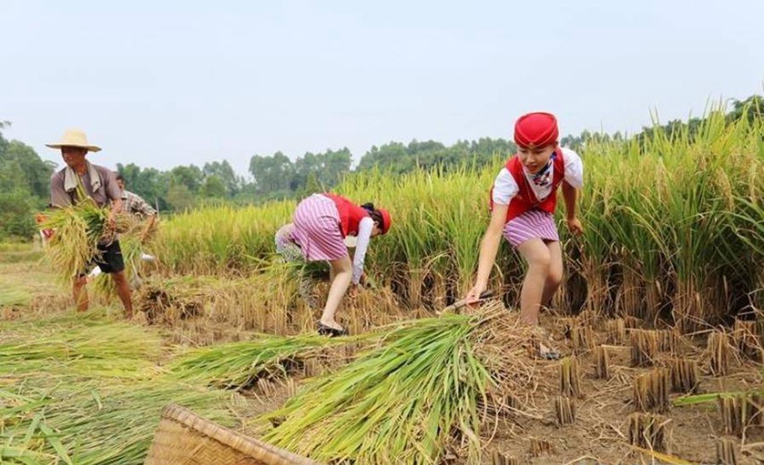 ?? ?? ?? ?? ? ?? ?????