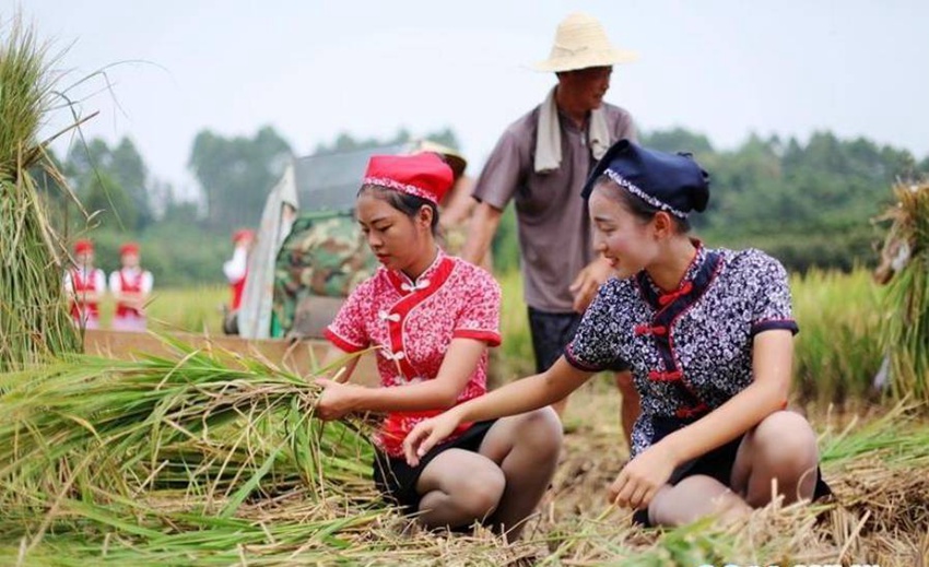 ?? ?? ?? ?? ? ?? ?????