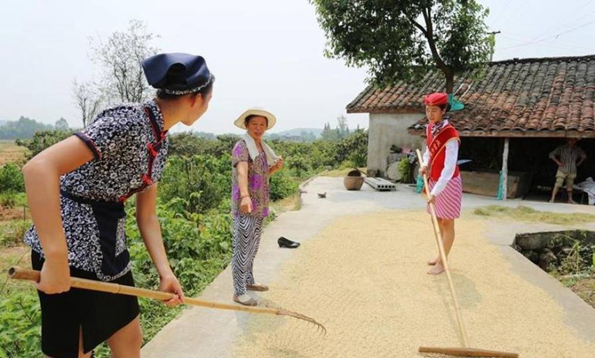 ?? ?? ?? ?? ? ?? ?????