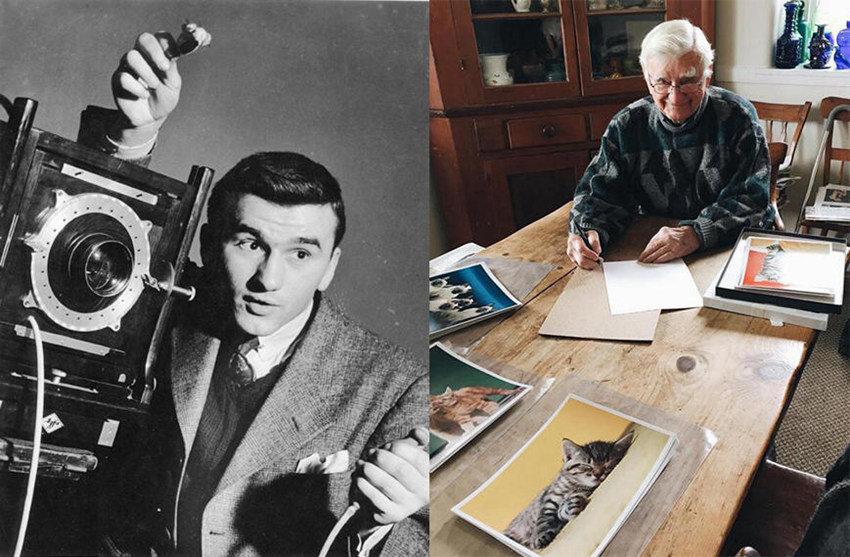 ??? ??? 70?? ??, 95? ??? ?? ?????