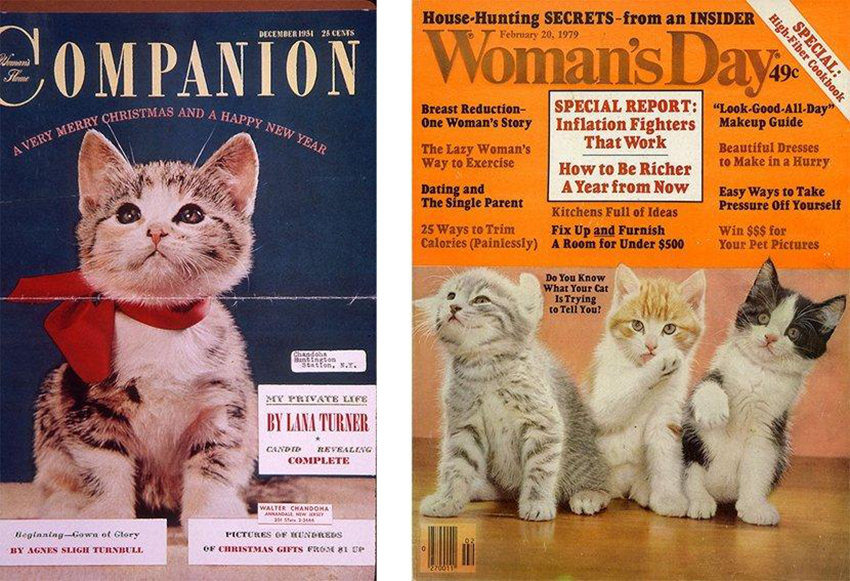 ??? ??? 70?? ??, 95? ??? ?? ?????