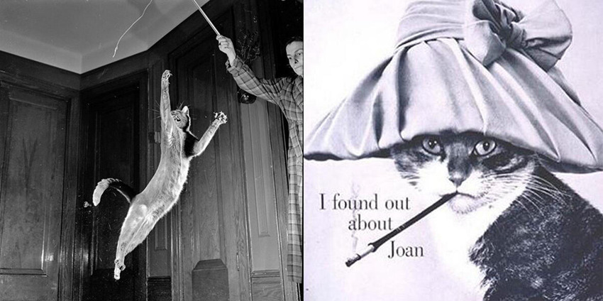 ??? ??? 70?? ??, 95? ??? ?? ?????