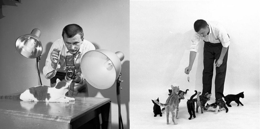 ??? ??? 70?? ??, 95? ??? ?? ?????