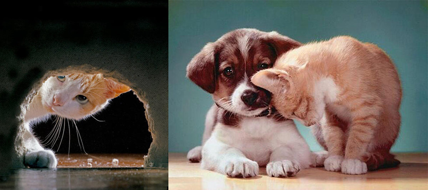 ??? ??? 70?? ??, 95? ??? ?? ?????